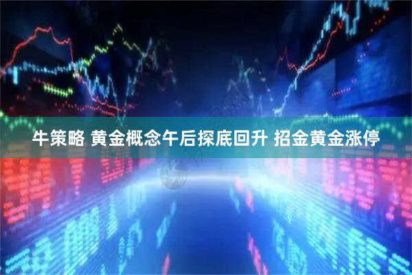 牛策略 黄金概念午后探底回升 招金黄金涨停