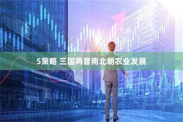 5策略 三国两晋南北朝农业发展