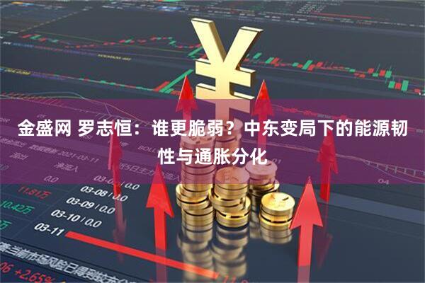金盛网 罗志恒：谁更脆弱？中东变局下的能源韧性与通胀分化